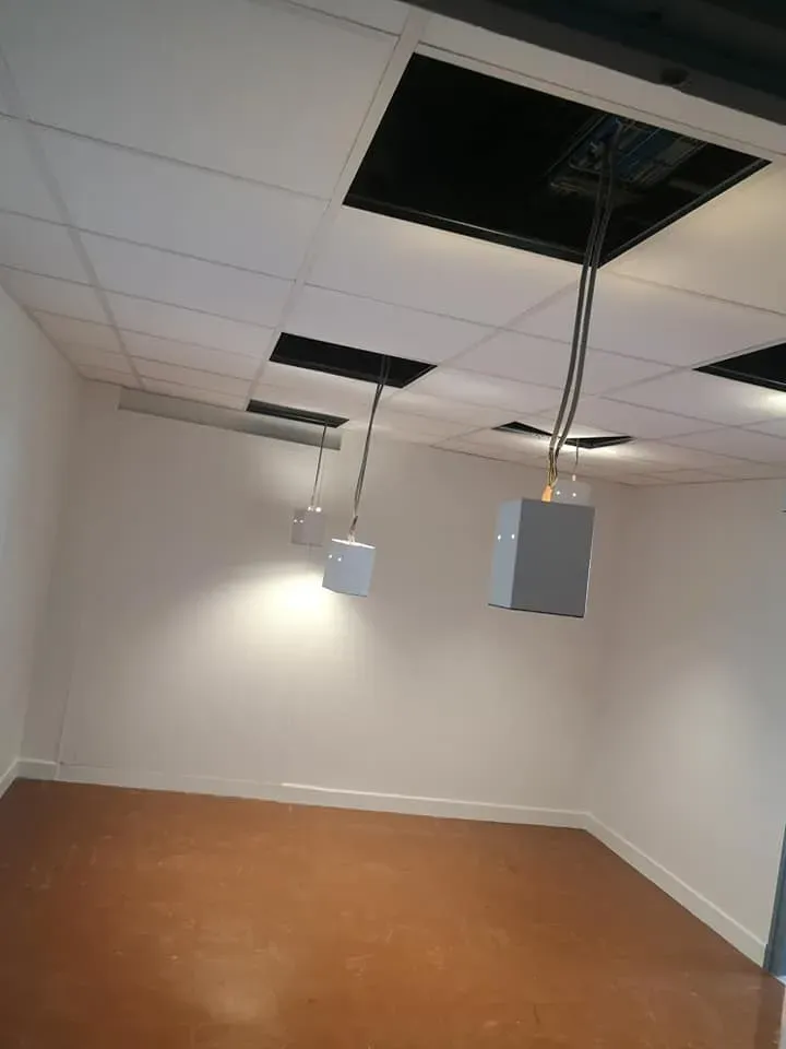 faux plafond (1)