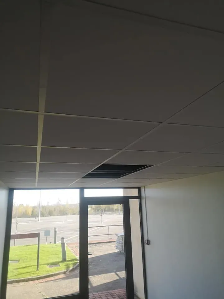 faux plafond (3)